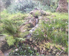 Historic barnyard and gardens are open