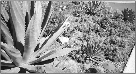 leisureworldweekly_20200709_gr_08_07-09-2020_w-or9_art_0.xml