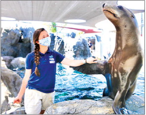 New seal and sea lion exhibit is open