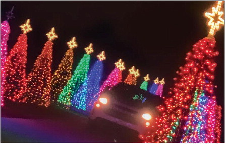 Capture the holiday spirit, starting this weekend