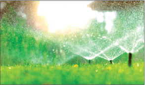 Key Points Key Points