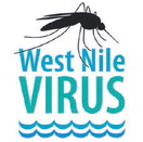 First WNV-positive mosquitoes confirmed