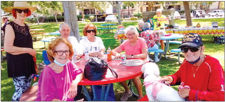 Paws, Claws and Beaks final summer picnic is today