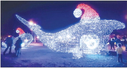 Bright lights make for happy holidays Bright lights make for happy holidays