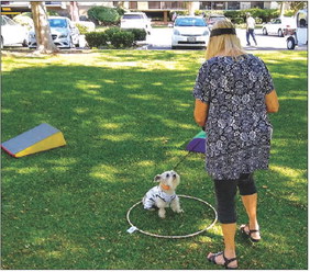 Join the potluck today at noon Join the potluck today at noon