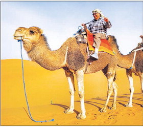 Traveling Tigers to meet May 18 Traveling Tigers to meet May 18