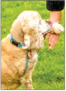 Come to the picnic today at CH 1