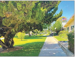 City of Seal Beach toured LW to offer guidelines to Mutuals