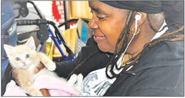 Seal Beach cat nonprofit to host fundraiser gala in Cypress