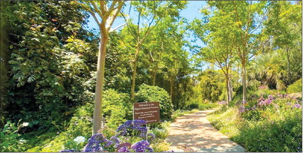 Native plants will be the focus at Garden Club meeting