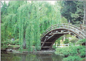 Huntington Library trip is fully booked