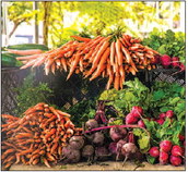 Check out the SB Farmers Market