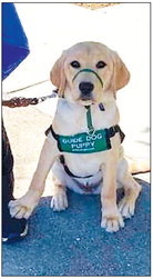 Impaired Vision and Hearing Club