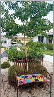 Mutual 2’s Sago Park continues to wow residents as it grows