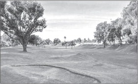 LW Men’s Golf League