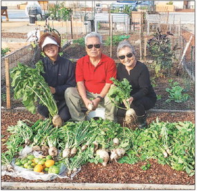 LWers reap the bounty of their harvest and prep for winter