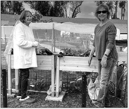 Fresh produce ripening at gardens