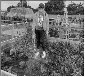 Apply today for a spot at the Community Gardens