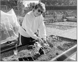 Garden plots available now