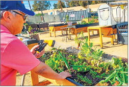 Garden plots available now