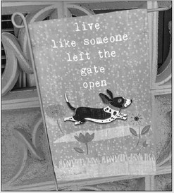 AROUND THE NEIGHBORHOOD 
	Resident  ….