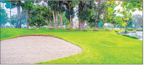 Sports that can compel seniors to get up and move