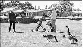 Janice Turner shoots a hole-in-one on fi fth hole