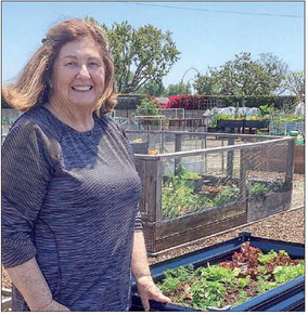 Check out ‘Garden Buzz’