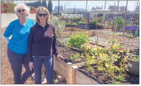 Check out ‘Garden Buzz’