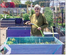 Check out ‘Garden Buzz’