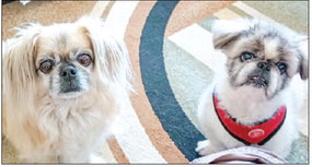 Club changes its main focus