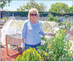 Community Gardens