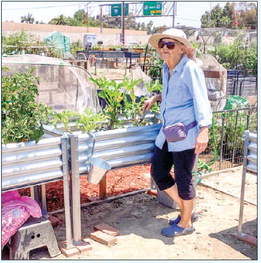 Community Gardens