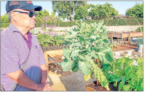COMMUNITY GARDENS 
	Michael Oh, longtime ….