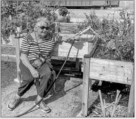 Community Gardens: Plots Available