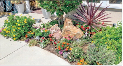 LW GARDEN CLUB: GARDEN OF ….