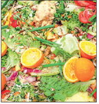 Green bin implementation hikes up trash bills