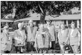 Emergency Buddy System: A Grassroots Effort