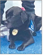 The Impaired Vision  and Hearing Club