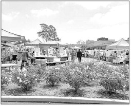 Emergency Prep   Expo and Time   Capsule