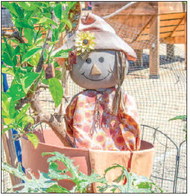 Harvest Festival is Saturday, Oct. 25