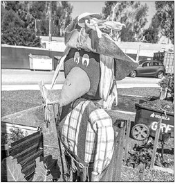 Prospective gardeners must  apply online to lease plots