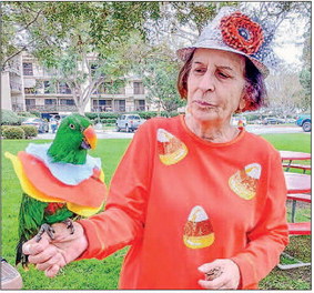 Paws, Claws and Beaks Picnic