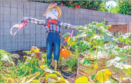 GRF’s first-ever Harvest Festival is Oct. 25