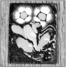 Copper enameling classes will be  held every Wednesday for six weeks