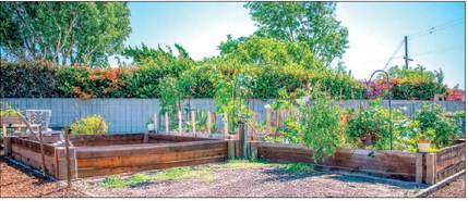 Harvest Festival at Community Gardens is Oct. 25