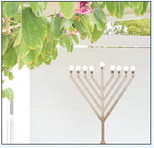 Menorah lighting is Monday, Dec. 15 Menorah lighting is Monday, Dec. 15