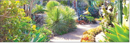 Historic Rancho Los Alamitos seeks volunteer docents