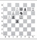 Chess Club lessons available