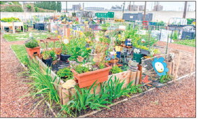 Community Gardens Plots Available